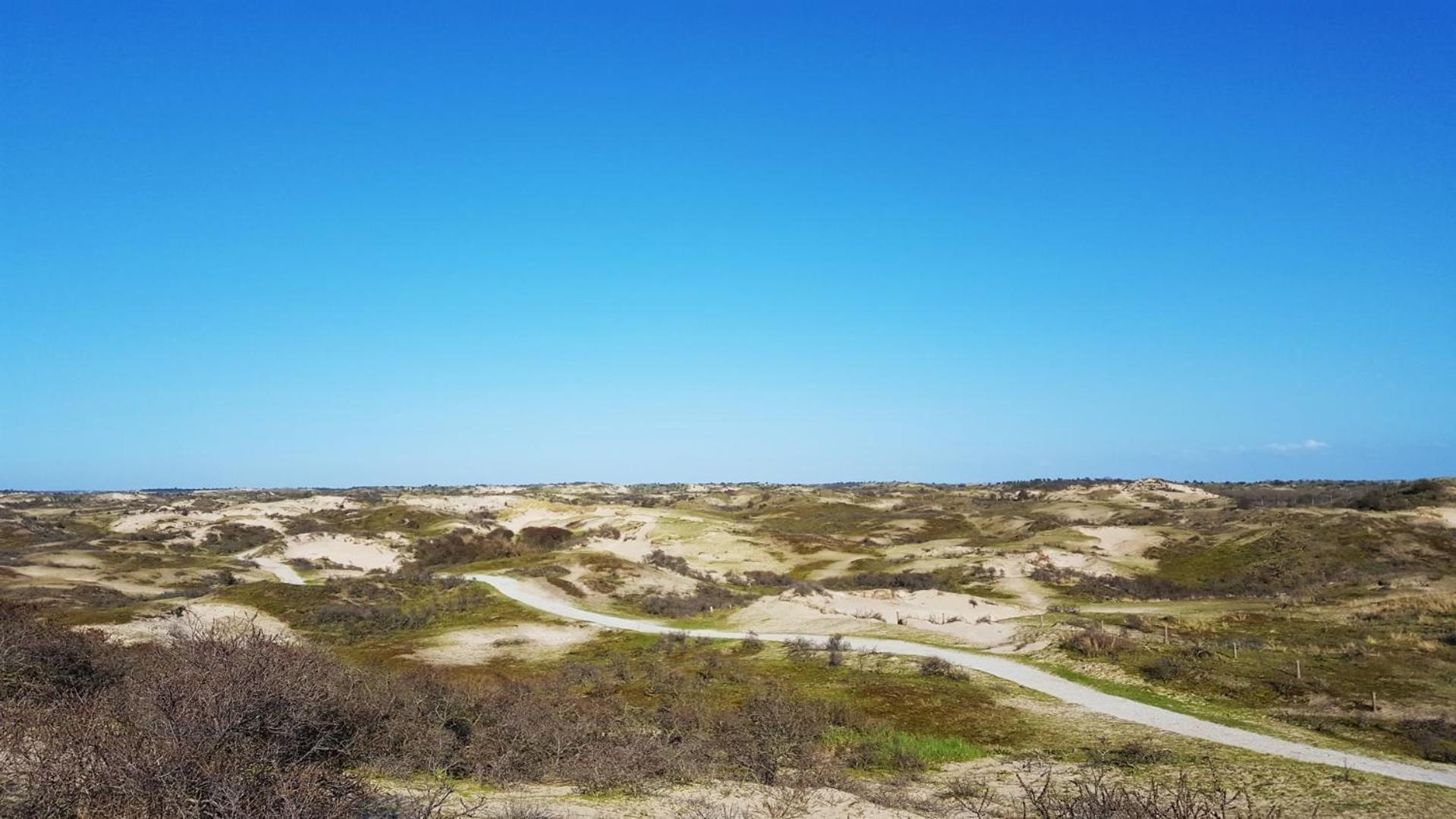 Bamboe Suite Bentveld Met Ligbad En Gratis Parkeren מראה חיצוני תמונה